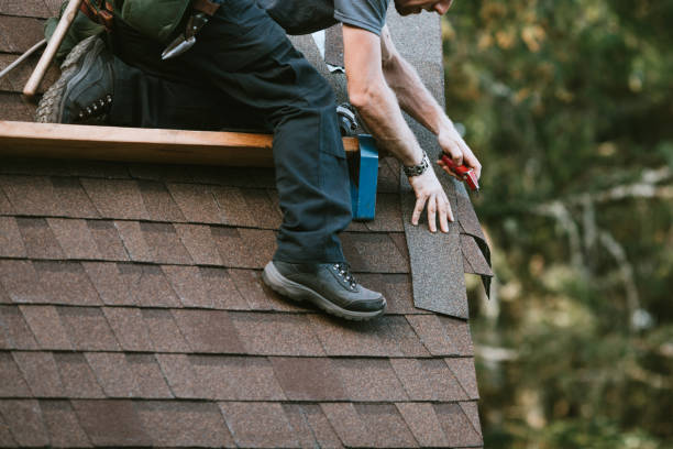 Best Residential Roofing Contractor  in South Brooksville, FL