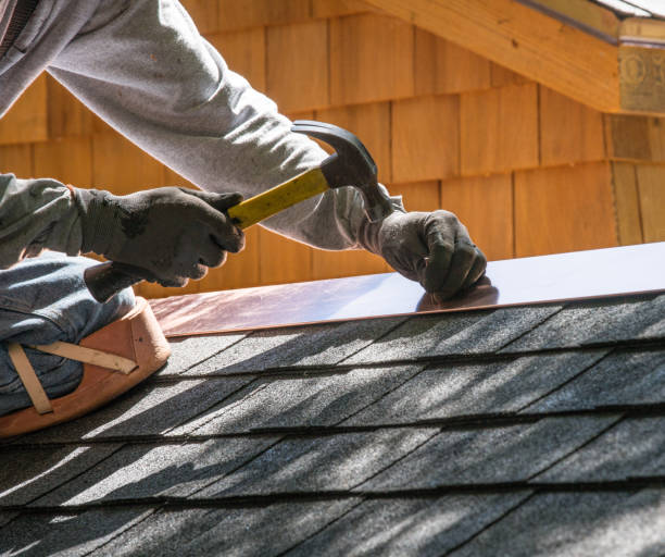 Best Shingle Roofing Installation  in South Brooksville, FL